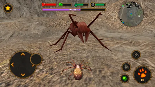 Life of Spider screenshot 16