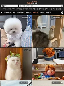 인스타모아 screenshot 11