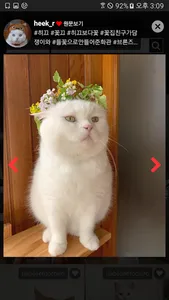 인스타모아 screenshot 3