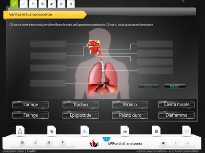 APPunti di anatomia-Lite screenshot 4