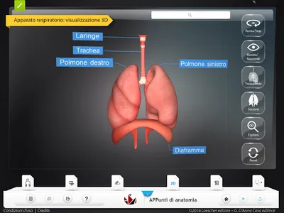 APPunti di anatomia-Lite screenshot 5