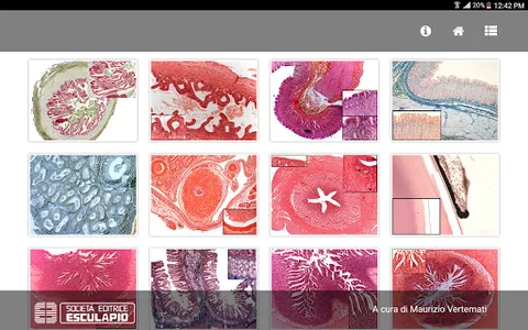 Diagnosi Anatomia Microscopica screenshot 0