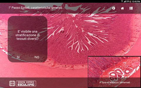 Diagnosi Anatomia Microscopica screenshot 2
