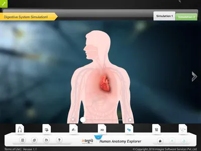 HumanAnatomy-Digestive screenshot 3