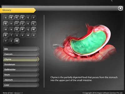 HumanAnatomy-Digestive screenshot 7