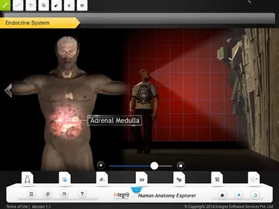 HumanAnatomy-Endocrine System screenshot 4