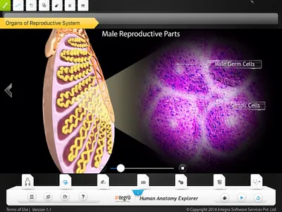 HumanAnatomy-Reproductive screenshot 2