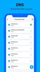 Internet Optimize-DNS screenshot 2