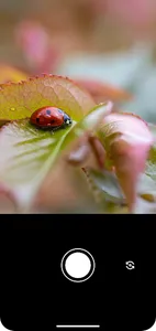 Rock Identifier: Stone Ai screenshot 1