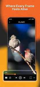 Video Player All Formats HD 4K screenshot 7