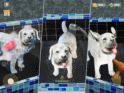 Animal Shelter Pet Rescue Game screenshot 14