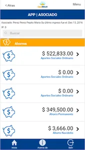 DemoAsociados screenshot 4