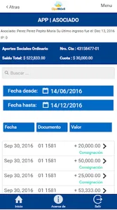 DemoAsociados screenshot 5