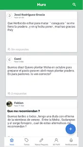 Red Gaucho screenshot 3