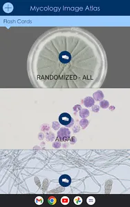 Mycology Image Atlas screenshot 10