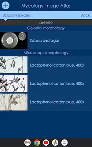 Mycology Image Atlas screenshot 11