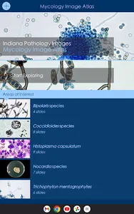 Mycology Image Atlas screenshot 12