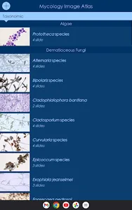 Mycology Image Atlas screenshot 15
