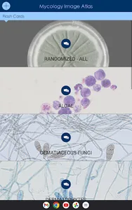 Mycology Image Atlas screenshot 16