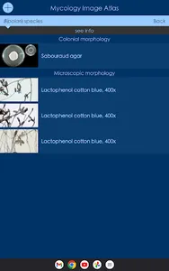 Mycology Image Atlas screenshot 17