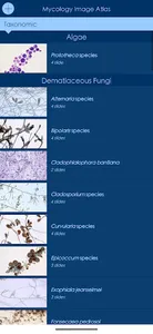 Mycology Image Atlas screenshot 2