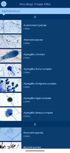 Mycology Image Atlas screenshot 4