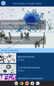 Mycology Image Atlas screenshot 6