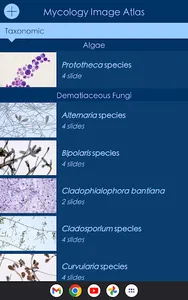 Mycology Image Atlas screenshot 9