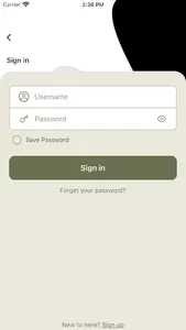 IPP screenshot 1