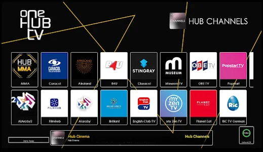 OneHubTV screenshot 13