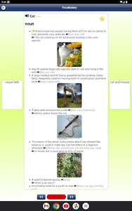 English Dictionary - Offline screenshot 10