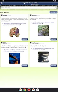 English Dictionary - Offline screenshot 9