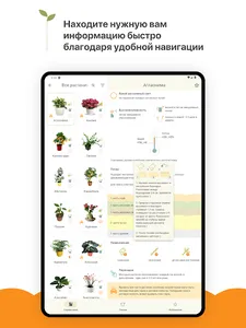 Комнатные растения справочник screenshot 8