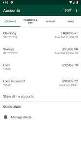 Iroquois Farmers State Bank screenshot 3