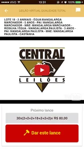 Central Leilões screenshot 3