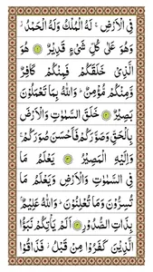 Surah Taghabun screenshot 1