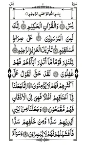 Read Surah Yaseen screenshot 5