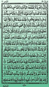 Surah Abasa screenshot 5