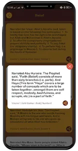 Islamic Hadith Bukhari Muslim screenshot 2