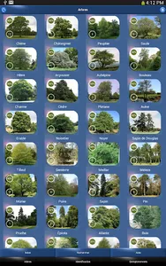 Arbres en Poche screenshot 10