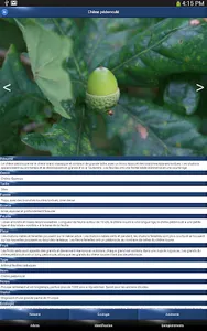 Arbres en Poche screenshot 14
