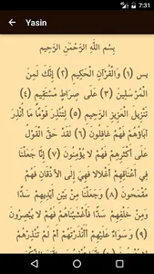 Yasin Tahlil screenshot 1