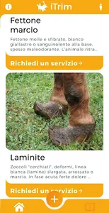 iTrim screenshot 5