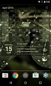 Calendar Widget Month + Agenda screenshot 2