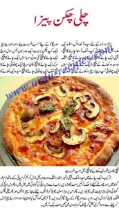 Pizza Urdu Recipes screenshot 3