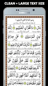 Surah Yaseen + Audio screenshot 0