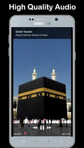 Surah Yaseen + Audio screenshot 6