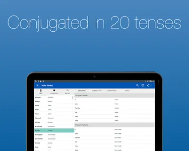English Verb Conjugator screenshot 14
