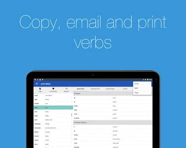 French Verb Conjugator Pro screenshot 21
