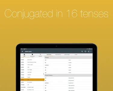 German Verb Conjugator Pro screenshot 20